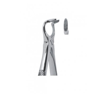 Extracting Forceps